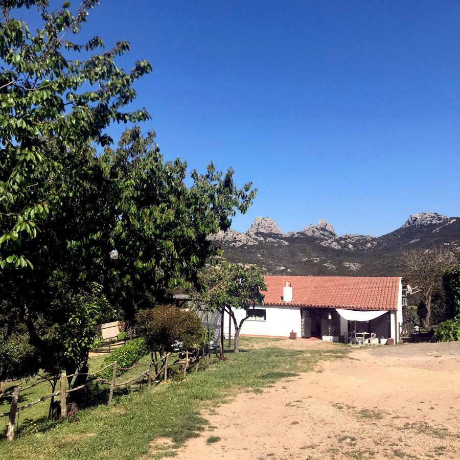 B&B La Tasgia Aggius Ngoại thất bức ảnh